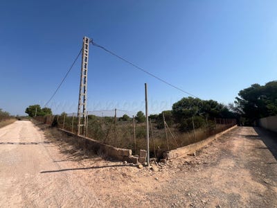 /international/es/pinar-de-la-perdiz-pilar-de-la-horadada-valencian-community-310102510735/