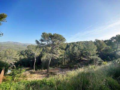 /international/es/sant-pere-de-ribes-catalonia-310108455838/