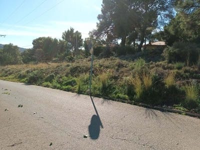 /international/es/serra-valencian-community-310098414972/