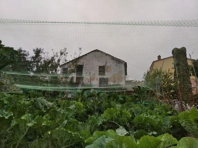 /international/es/vigo-asturias-310098766524/