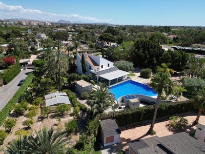 /international/es/elche-valencian-community-310106628851/