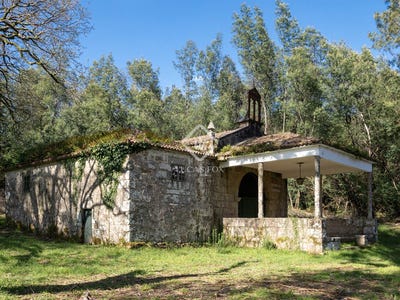 /international/es/teo-galicia-310098805056/?lang=zh-cn