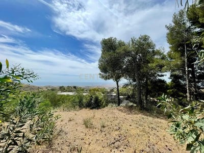 /international/es/mijas-andalusia-310100289901/