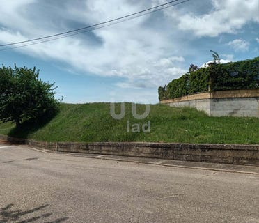 /international/es/leon-castile-and-leon-310101324192/?lang=it