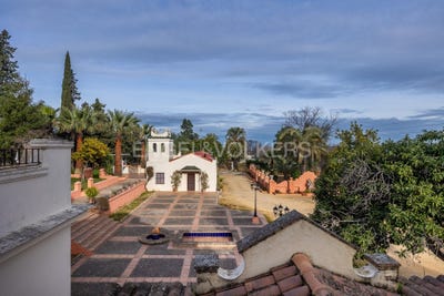 /international/es/olivares-andalusia-310100639654/?lang=zh-tw