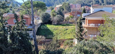 /international/es/cervello-catalonia-310100637581/