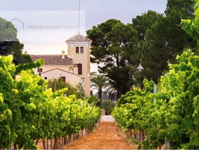 /international/es/ciutat-vella-valencian-community-310101877616/