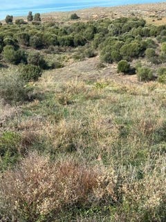 /international/es/bel-air-andalusia-310106750750/