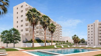 /international/es/san-miguel-de-salinas-valencian-community-310100739512/