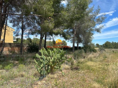 /international/es/mont-roig-del-camp-catalonia-310098735129/?lang=zh-tw