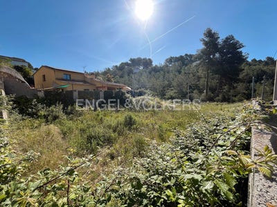 /international/es/olivella-catalonia-310100639132/