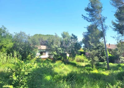 /international/es/barcelona-catalonia-310100731928/