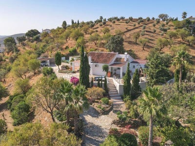 /international/es/guaro-andalusia-310100650567/