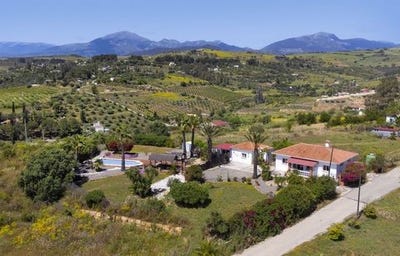 /international/es/pizarra-andalusia-310104804439/