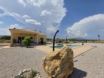 /international/es/pinoso-valencian-community-310120012740/
