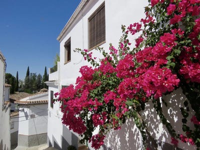 /international/es/granada-andalusia-310109637242/