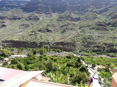 /international/es/cercado-de-espino-canary-islands-310105818178/