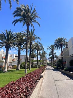 /international/es/arona-canary-islands-310109076326/