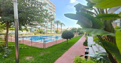 /international/es/gandia-valencian-community-310107671672/