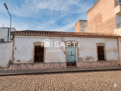/international/es/puebla-de-la-calzada-extremadura-310108510205/