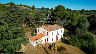 /international/es/barcelona-catalonia-310098115332/