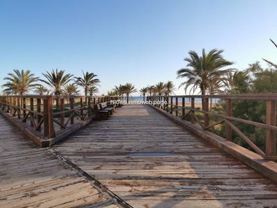 /international/es/gandia-valencian-community-310101995448/