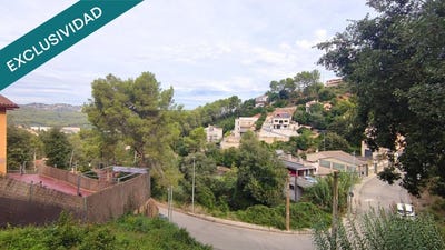 /international/es/cervello-catalonia-310105741923/