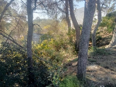 /international/es/olivella-catalonia-310103994238/