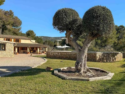 /international/es/calvia-balearic-islands-120095221999/