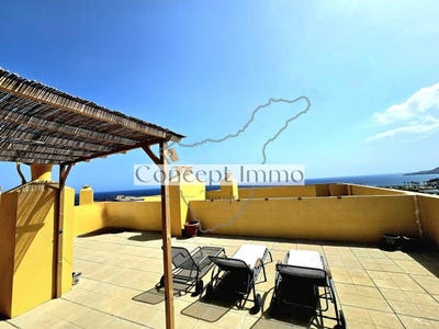 /international/es/san-miguel-de-abona-canary-islands-310099496217/