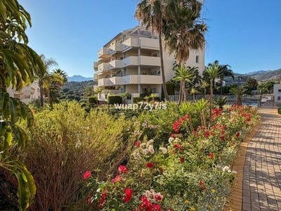 /international/es/elviria-andalusia-310108566304/