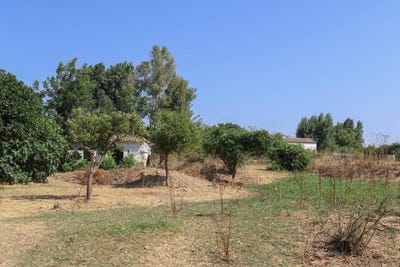 /international/es/coin-andalusia-120081610332/