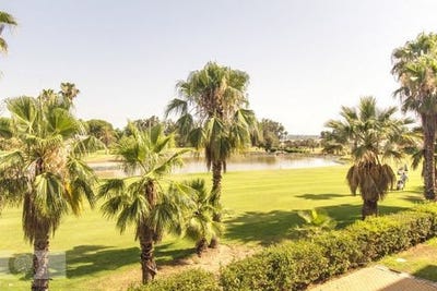 /international/es/ayamonte-andalusia-310100742706/?lang=zh-tw