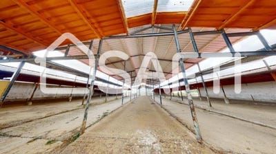 /international/es/melgar-de-arriba-castile-and-leon-310101274482/?lang=zh-tw