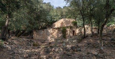 /international/es/cistella-catalonia-120095857069/?lang=zh-tw