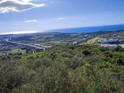 /international/es/estepona-andalusia-310106877511/