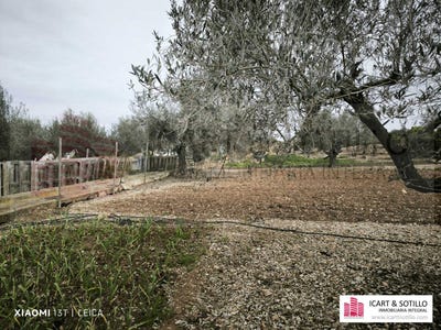 /international/es/benicarlo-valencian-community-310098797609/
