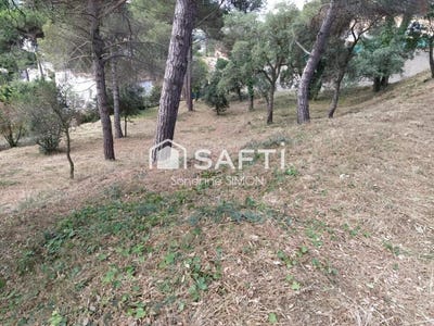 /international/es/vidreres-catalonia-310101280861/