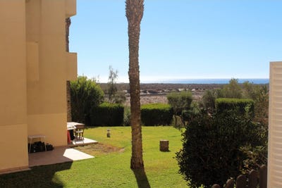 /international/es/pavo-real-97-almeria-capital-andalusia-310104039375/