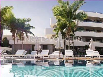 /international/es/el-medano-canary-islands-310098713943/