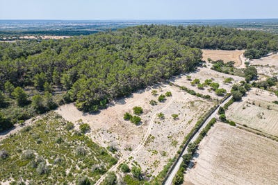 /international/es/porreres-balearic-islands-310103464968/