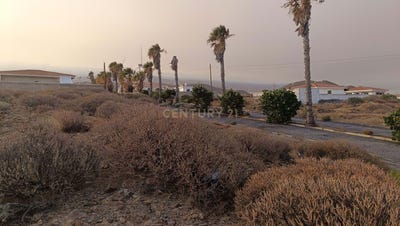 /international/es/arico-canary-islands-310094783972/