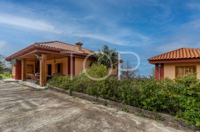 /international/es/las-rosas-canary-islands-310106574216/
