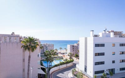 /international/es/el-campello-valencian-community-310107921742/