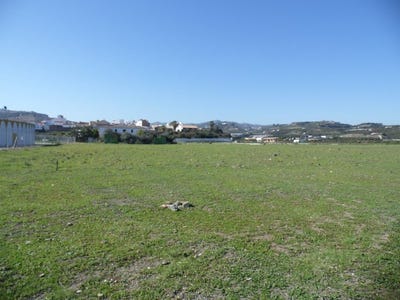 /international/es/benamocarra-andalusia-310108316869/