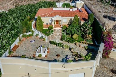 /international/es/guia-de-isora-canary-islands-120088683600/