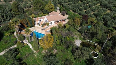 /international/es/periana-andalusia-310106681856/