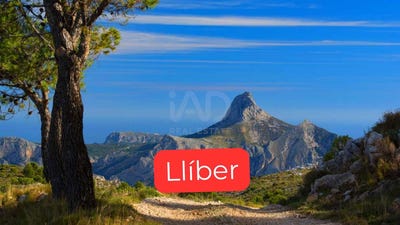 /international/es/lliber-valencian-community-310104249793/