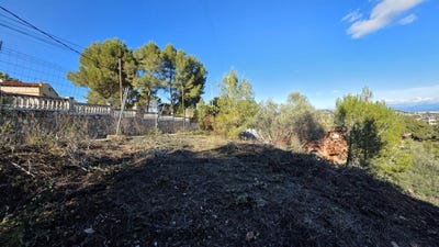 /international/es/cervello-catalonia-310105745632/