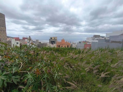 /international/es/san-cristobal-de-la-laguna-canary-islands-310106388923/